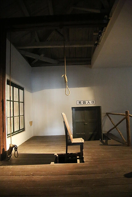 213F994A52ECE73419C7A4