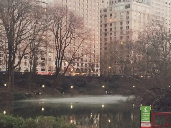 SE-96d33bf0-5ee9-4f9b-9b4a-1a10b60d718d.jpg?type=w580