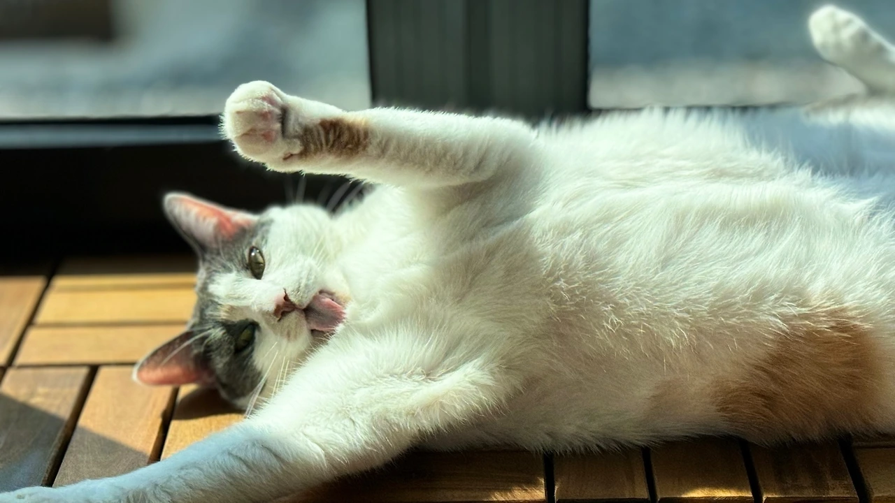 KakaoTalk_Photo_2024-03-27-14-25-48 003.jpeg