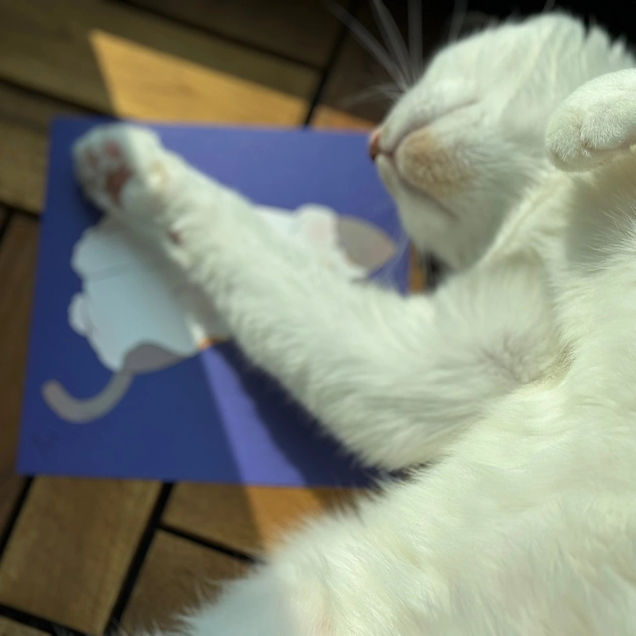 KakaoTalk_Photo_2024-03-27-14-25-48 001.jpeg