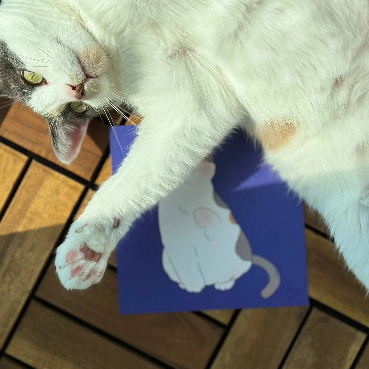 KakaoTalk_Photo_2024-03-27-14-25-48 002.jpeg