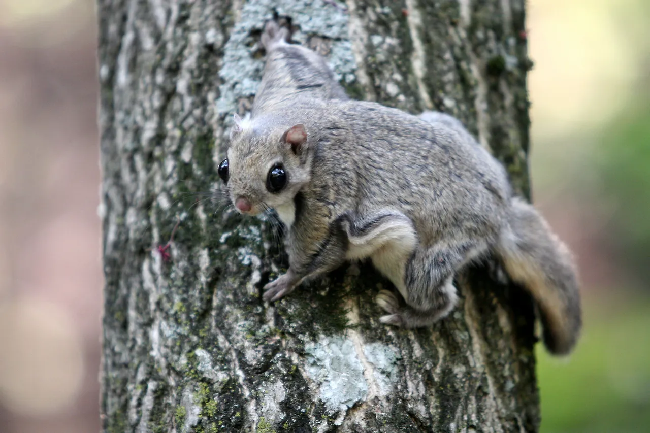 5ceb763224000053008547da.jpeg?cache=1Hf66RBHu1&ops=crop_894_73_2556_1869,scalefit_630_noupscale