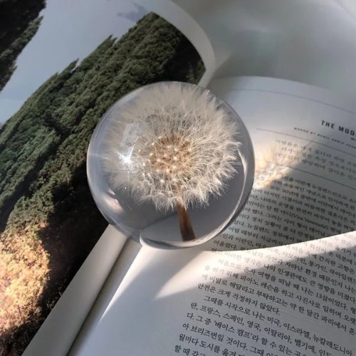 159123571344760089.jpg?gif=1&w=640&h=640&c=c