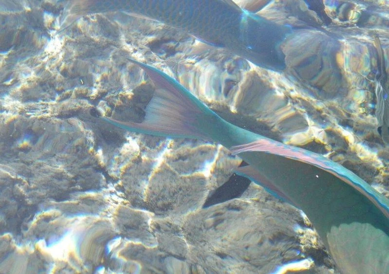 DCznZ-LBgXh7-fPRPkW2BQoSzjOTWwPtYbgsP9nZNa27Lv4bFq-0aBowqAY2PgzCmSSjlHum_yiA_u3D-Ahl4gaCXX9_sGR9LfUVrvYVq81uUQ7QZ03bdUilDaDlUq5gRuar64UBPg