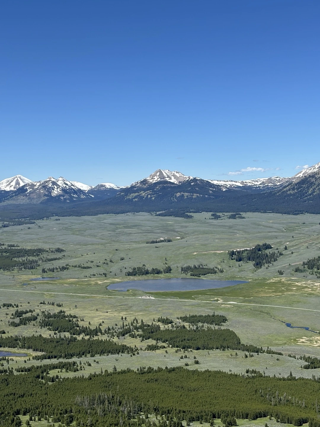 KakaoTalk_Photo_2024-07-25-15-15-26 004.jpeg