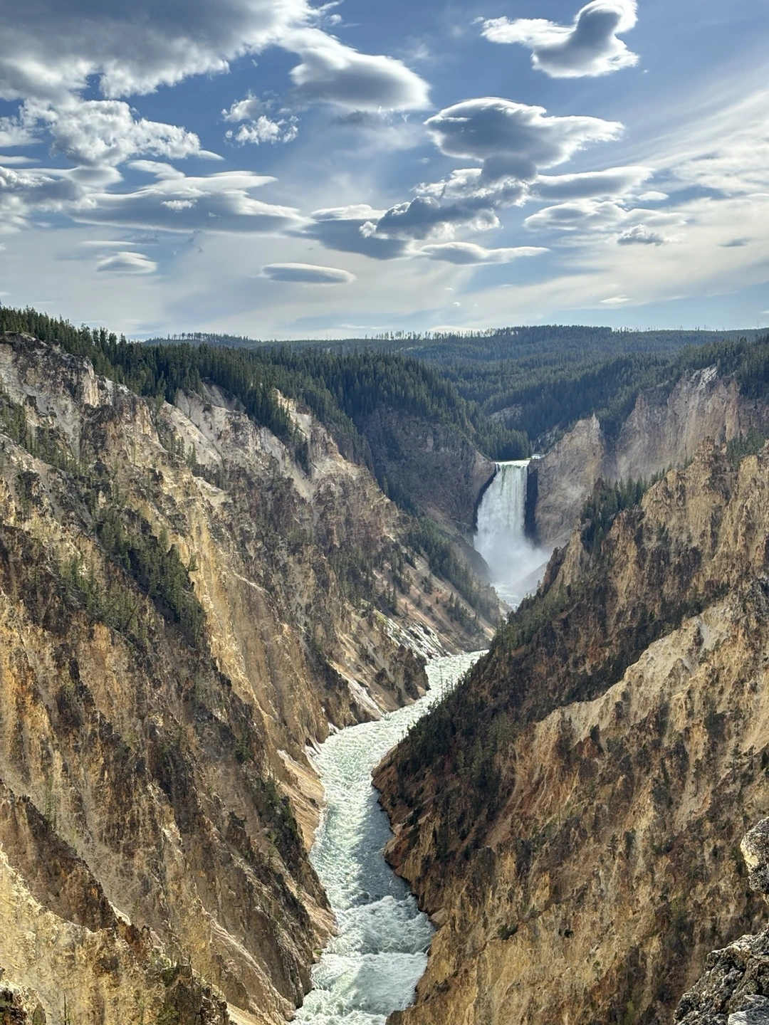 KakaoTalk_Photo_2024-07-25-15-15-32 007.jpeg