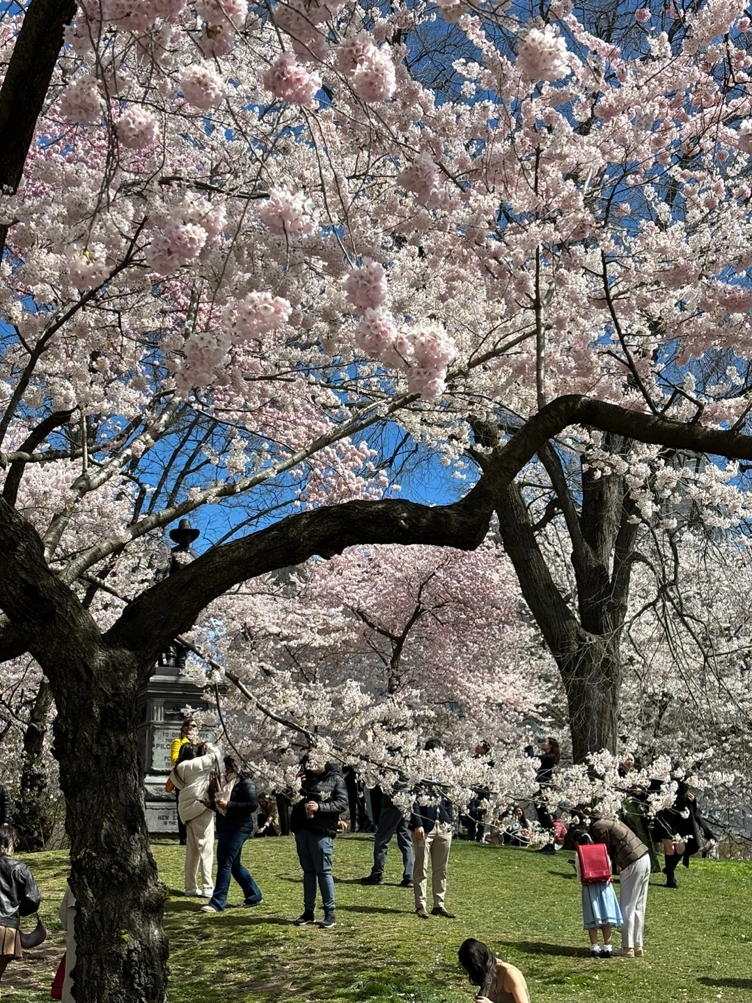 KakaoTalk_Photo_2024-05-12-22-33-25 001.jpeg