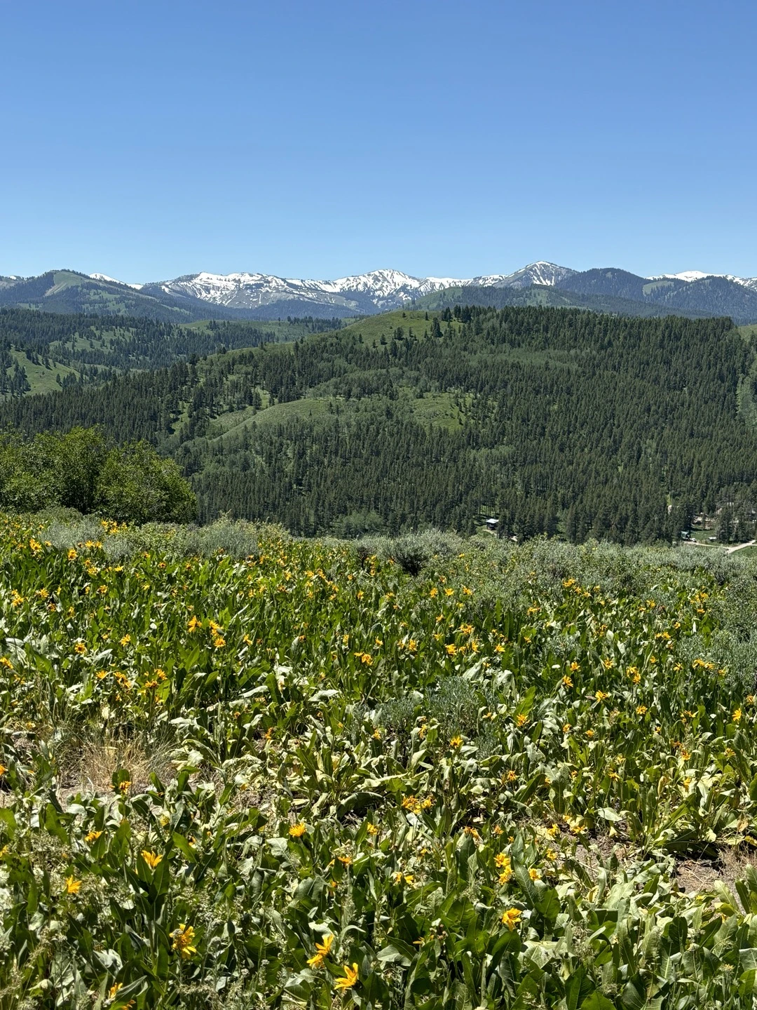 KakaoTalk_Photo_2024-07-25-15-15-39 010.jpeg