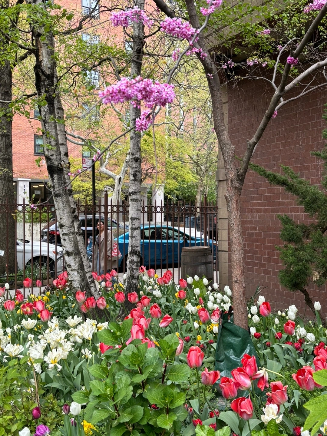 KakaoTalk_Photo_2024-05-12-22-33-25 003.jpeg