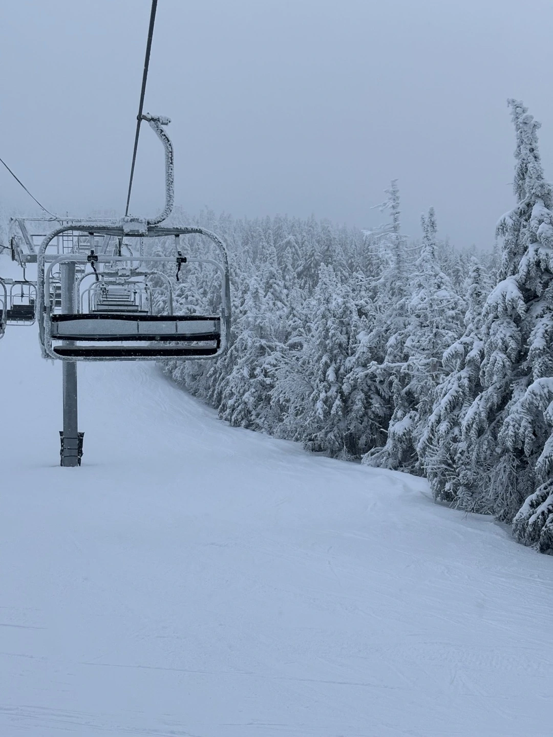 KakaoTalk_Photo_2024-01-24-23-53-28 001.jpeg