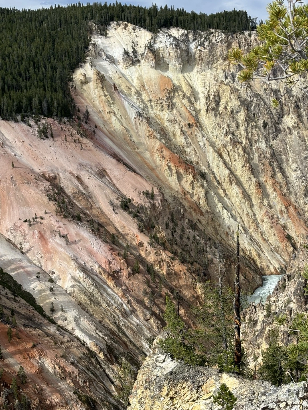 KakaoTalk_Photo_2024-07-25-15-29-19 002.jpeg