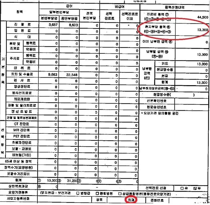 실손_급여_한방_치과_한의원_통원_자기부담금_송정목_자산관리_보험_청구 4.JPG