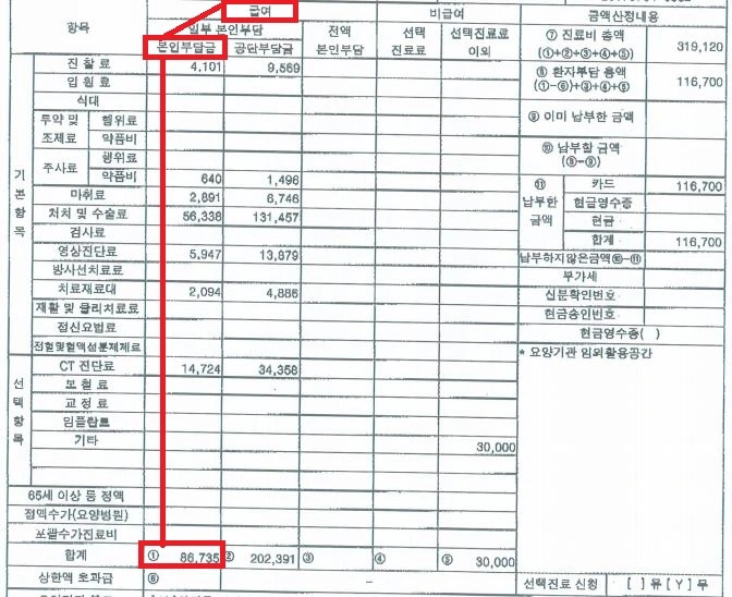실손_급여_한방_치과_한의원_통원_자기부담금_송정목_자산관리_보험_청구 3.JPG