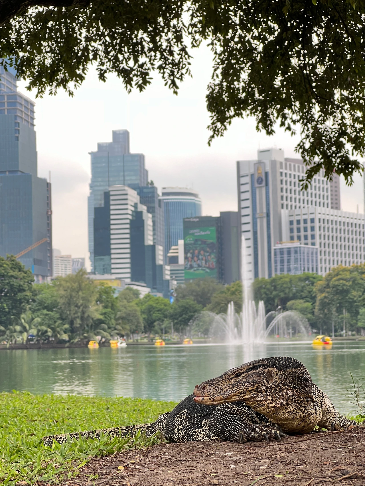 방콕_생활비_부동산_국제학교_학비_태국_여행_추천_송정목_자산관리 5.JPG