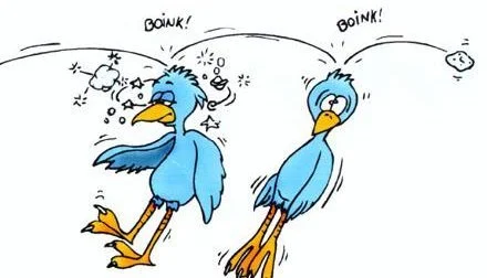 %BC%BC%BE%D7%B0%F8%C1%A6_%BF%AC%B1%DD%C6%DD%B5%E5_%B0%E8%BE%E0%C0%CC%C0%FC_%BF%AC%B1%DD%C0%FA%C3%E0_%BA%B8%C7%E8_%BD%C5%C5%B9_%BC%DB%C1%A4%B8%F1_%C0%DA%BB%EA%B0%FC%B8%AE_2.jpg?type=w773