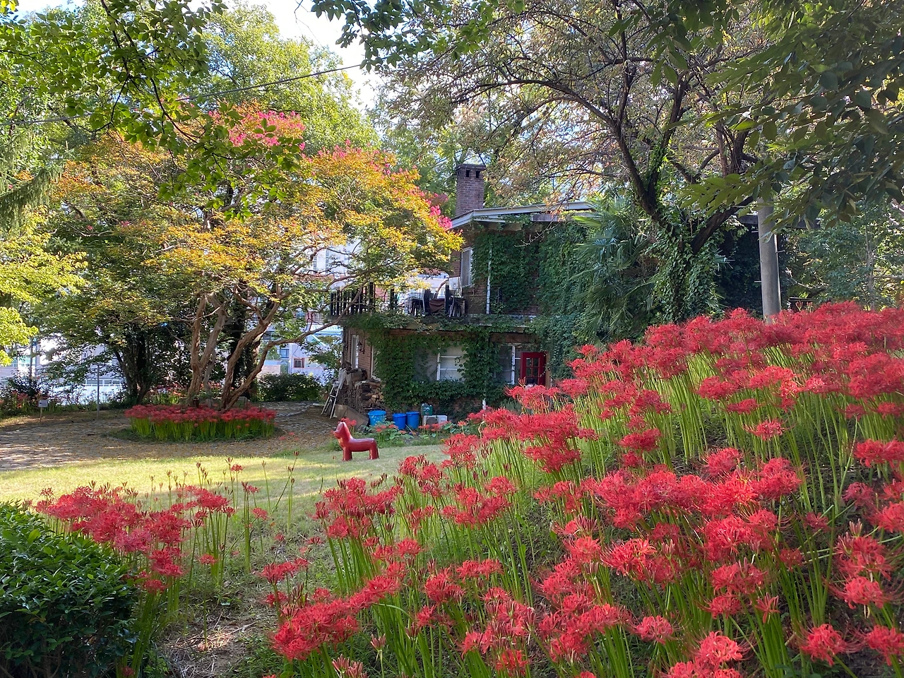 게스트하우스 꽃무릇.JPG