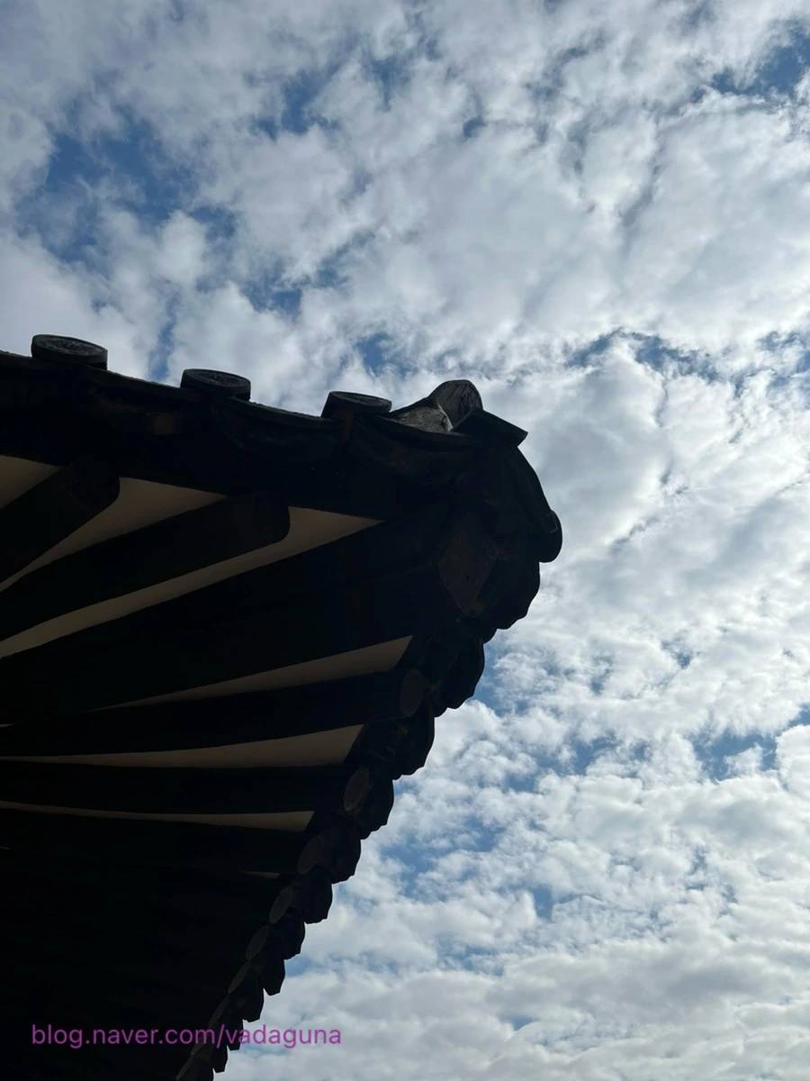 output_2806774137.jpg?type=w1