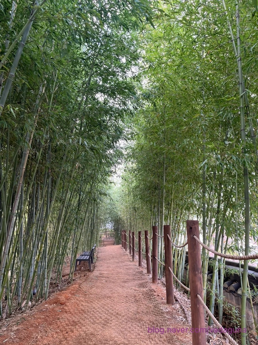 output_3242151040.jpg?type=w1