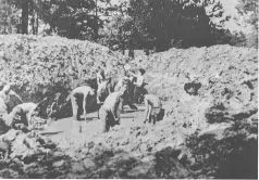 유대인 포로들.JPG