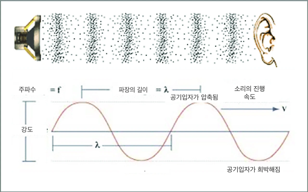 https%3A%2F%2Fs3-us-west-2.amazonaws.com%2Fsecure.notion-static.com%2F8436cb4c-0c62-44cb-953e-ab05613bc86c%2F1-Sound-wave-http-wwwmediacollegecom-audio-01-sound-waveshtml-This-image-is.png?table=block&id=e1d6898e-199a-4738-b92c-25e280b3155d&spaceId=285bec8a-62ab-4a8b-bb29-d2274ac5d152&width=2000&userId=&cache=v2