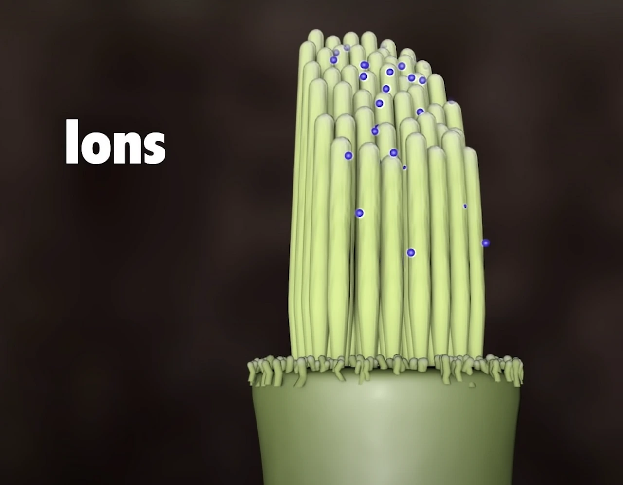 VmuBxrK4U6b9Z_gY4DdGm-L0hurChd1XH_U_KqyNwpNn-7ehYbn2p79UItb6lFsTn0was8hglN9kDgHEp1kCM8n0GcHMYVtIn_ElursfdzM1yTrp8axoQUitfl7Gn-3HVVNk0yxulfsQOPk6aPWTDVH-yQ=s2048