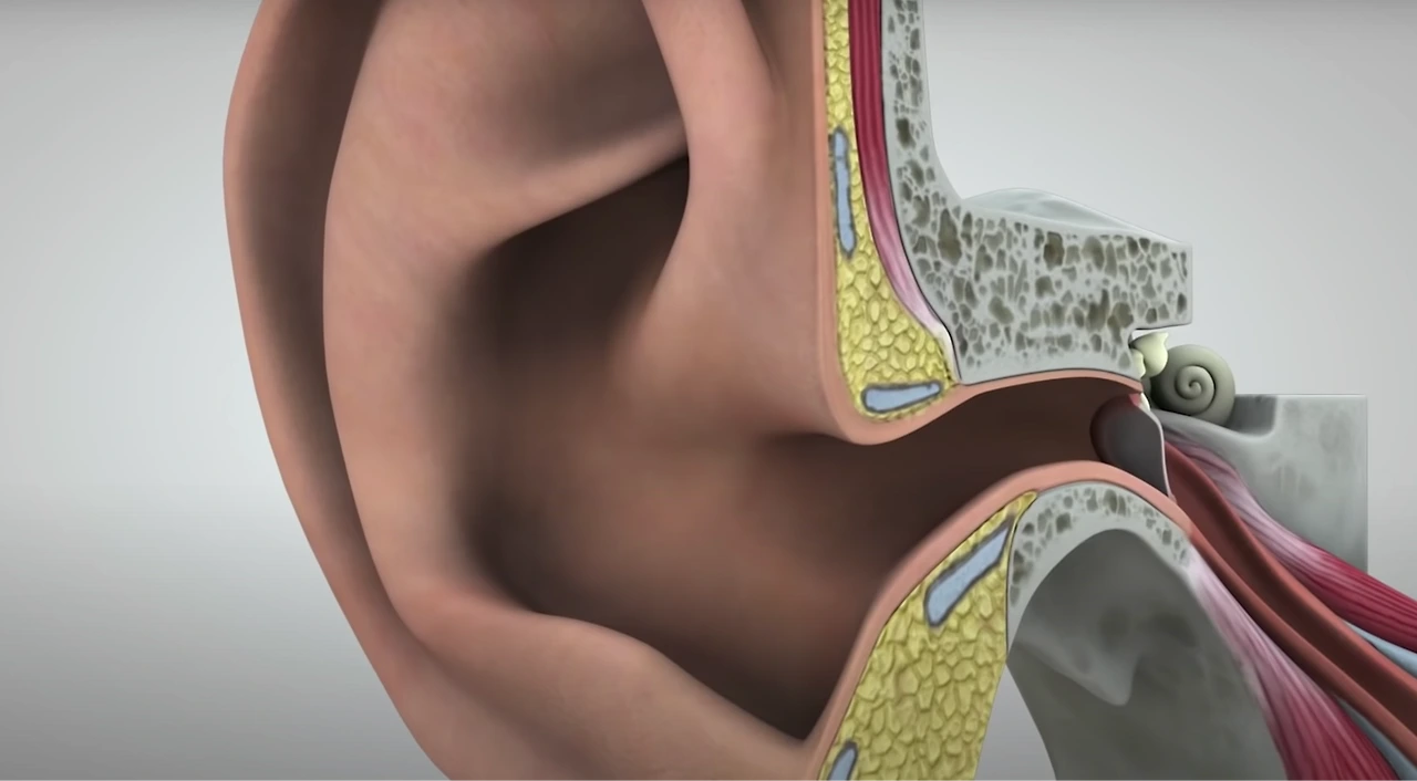 6dzmv5rk05JLarUM-7GFcNE3ftlb21wJX7kxOusOR41ETwwKu1TdixO7d3femJEDntlTC6f6Jl3PcyyvP-rBis64g8jDNvKTLQR_a1gSXKI6vkd9J11rzzptQ-985cuhRwZg084_8QrBmx8eKWRbM6hyFQ=s2048