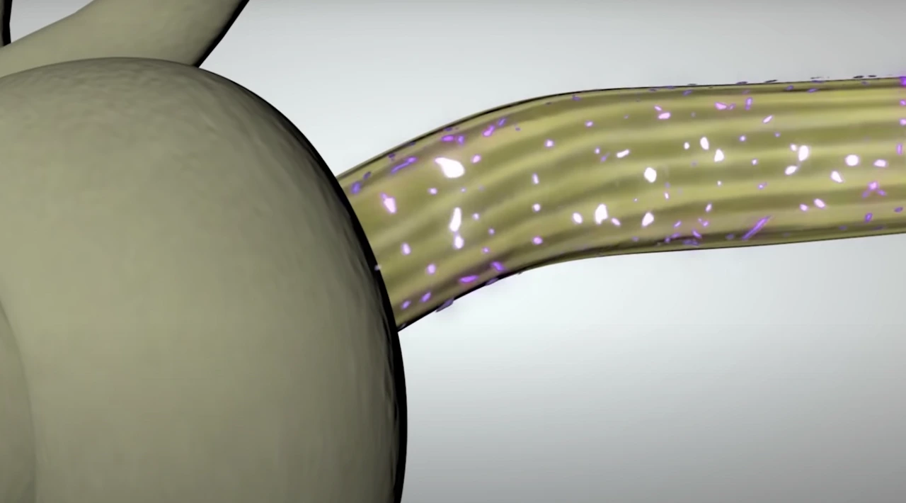 XiJyPrDrIVJbb4_Y4d2lBYdjseC1EoWNTOarkDufBqlUispXummlAAcUd2hskqcFVpgGsVQ-fR2G_yAHYwYH6tMzlwNsA-GEJioef1Bcbq85AkwG2IVTBS7-EOyQJqoNwO4yzILcgzvbgO_t-Sn4KUGPYQ=s2048