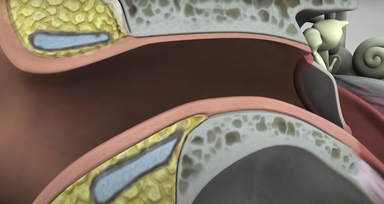 B6Oknbt9xdUAGA0C1qtXIH9c86dpEnYkgR6_Et722xMdCPIFVr5Iz1IZt3D7SQmojKakSv7973psV1Xtj1E1Rhh2khloluzmhJ2HLVTh6raqrdchfl_Iv8FD1nTLw9vTe2Y3Tg7IQIXEbmY9a7bWBrAnJQ=s2048