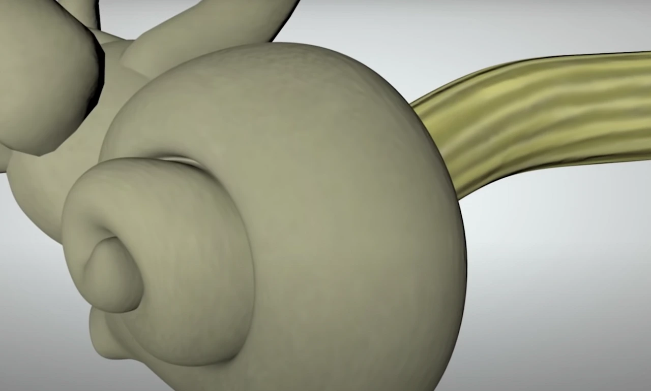 9A92GysgxVQRP2klEC9i1jlIZ1YU5j5I2YxXkzH0Vp-mq-U6Mdi9fnbSVv1NebSrXWi1xouwgeSdJkMLZpSA1G6TQ__q2fDLSF3_MLMBMUQoNnQtXbQmd8yNNz8MWQe4nNNQfY_wI0b95Ks8waFtQ6RujQ=s2048