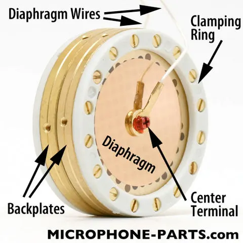k87-capsule-anatomy_480x480.jpg?v=1665522732