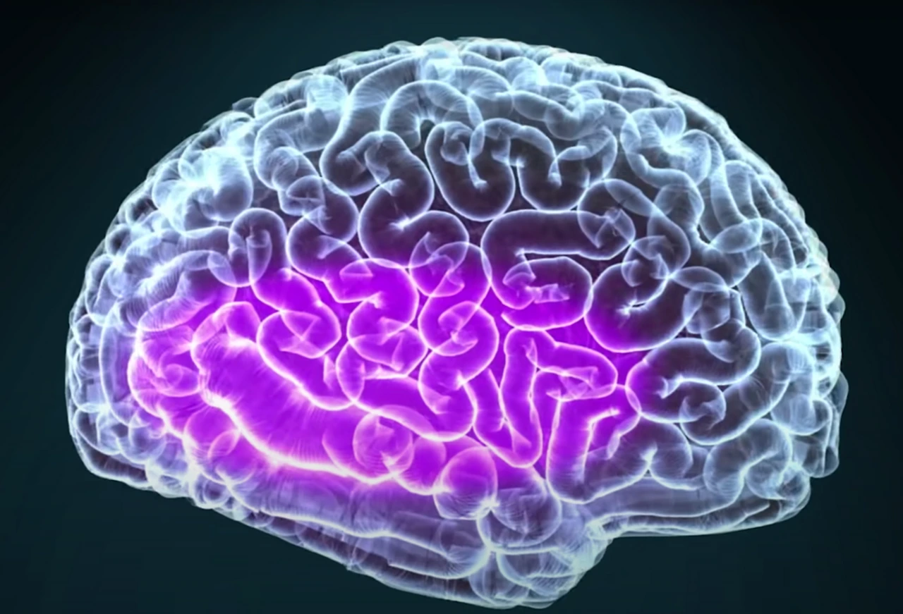 w0m61iGWYeMr7CwlHLoR0IqP43SepL7j3f_maODsvYFP_gIxE5VV0IV6yNG-1n6WzYv0OuU8z_GqL-vx9NyePNFSazBqj38CcTMVqLCQknwaXaR-Ij8k8W0bJZdIUYE2ZHHQ-zqUsnalFClpihW0Hc9xvQ=s2048