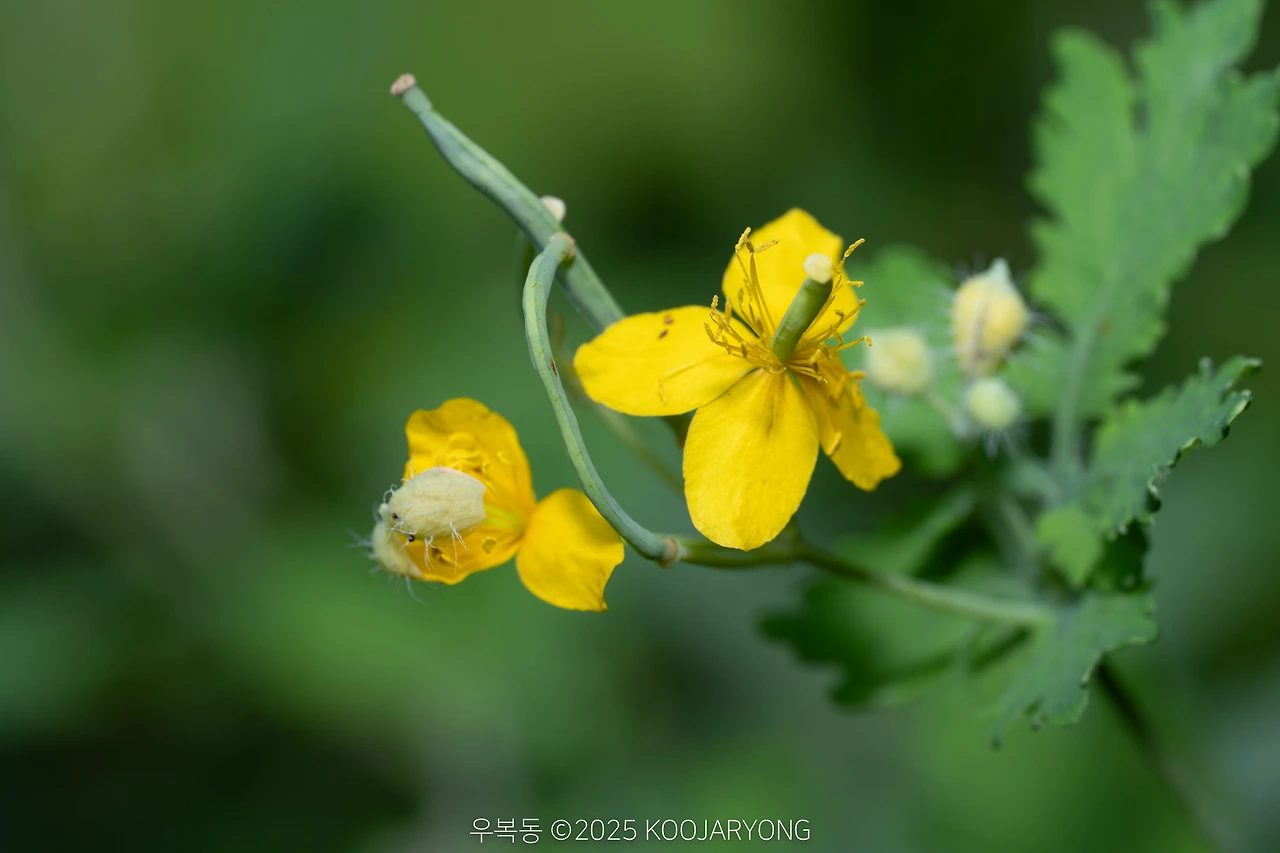 img.jpg?credential=yqXZFxpELC7KVnFOS48ylbz2pIh7yKj8&expires=1759244399&allow_ip=&allow_referer=&signature=SaFnyH2MUNTDxx6YQ1GWezA9j1w%3D