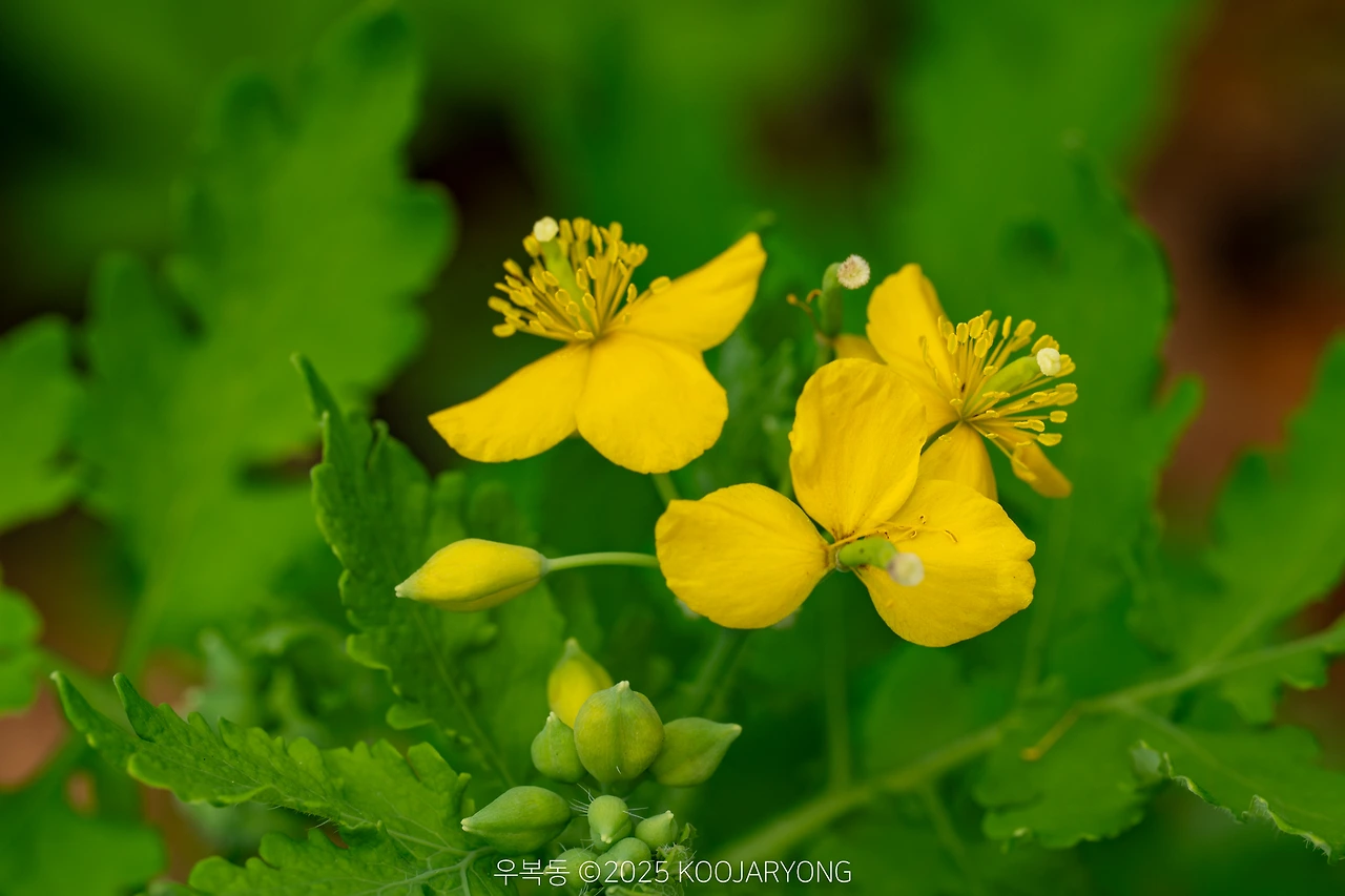 img.jpg?credential=yqXZFxpELC7KVnFOS48ylbz2pIh7yKj8&expires=1759244399&allow_ip=&allow_referer=&signature=e6ZI9cc9aKW%2FyZVYSXSVI4eA6Cs%3D