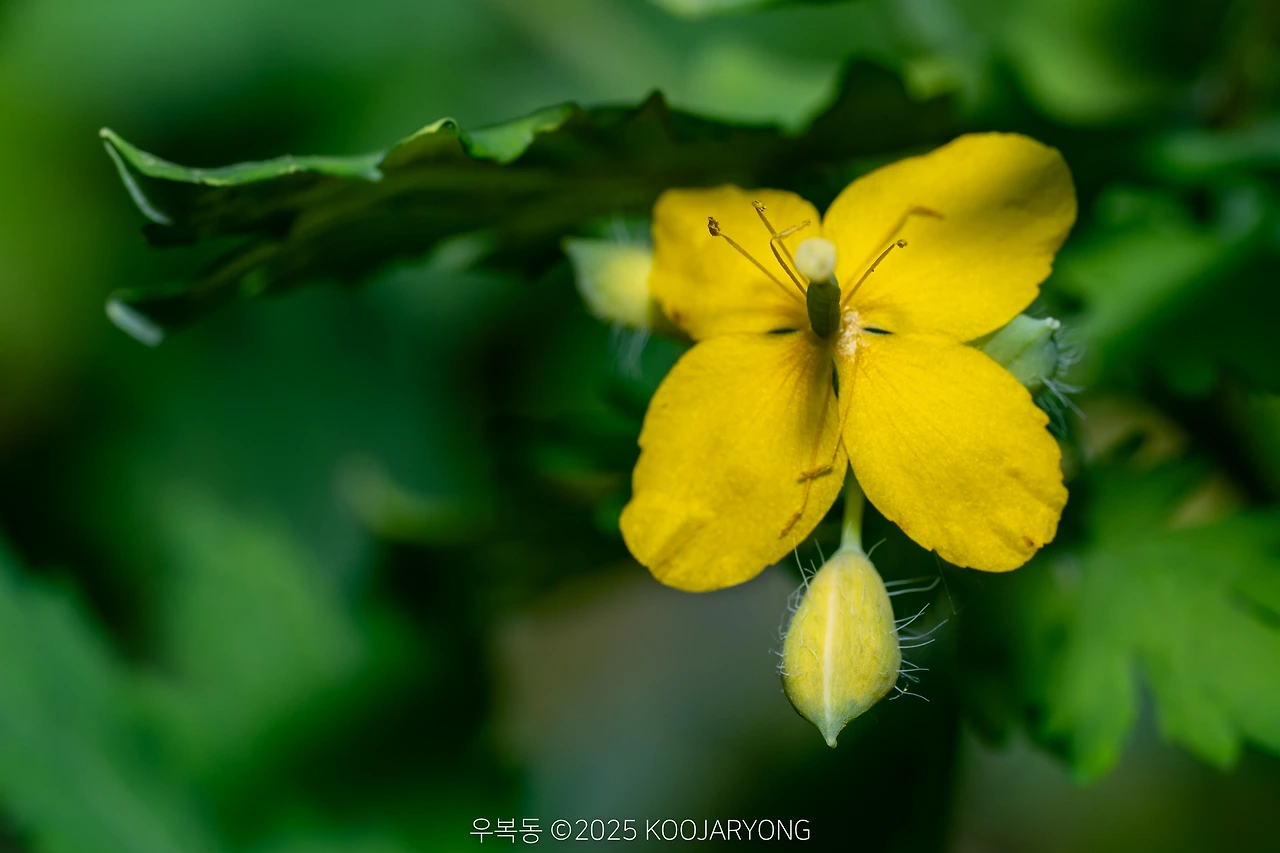 img.jpg?credential=yqXZFxpELC7KVnFOS48ylbz2pIh7yKj8&expires=1759244399&allow_ip=&allow_referer=&signature=%2Bto732GWSnIoIM7mBx%2F%2FpeF5%2FwA%3D