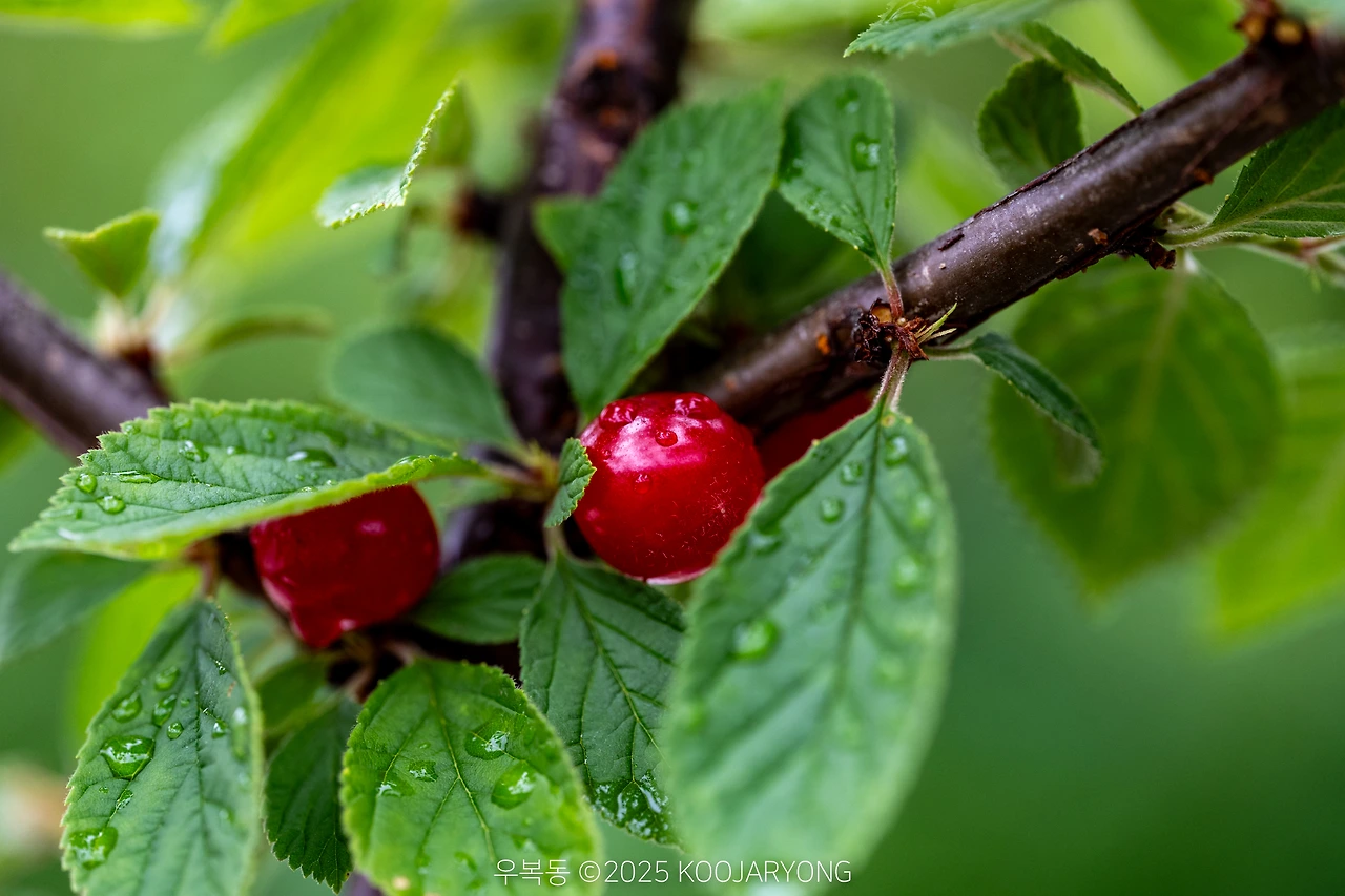 img.jpg?credential=yqXZFxpELC7KVnFOS48ylbz2pIh7yKj8&expires=1751295599&allow_ip=&allow_referer=&signature=qfed9cr2YQv6zQoLzaFuAqgxuCc%3D