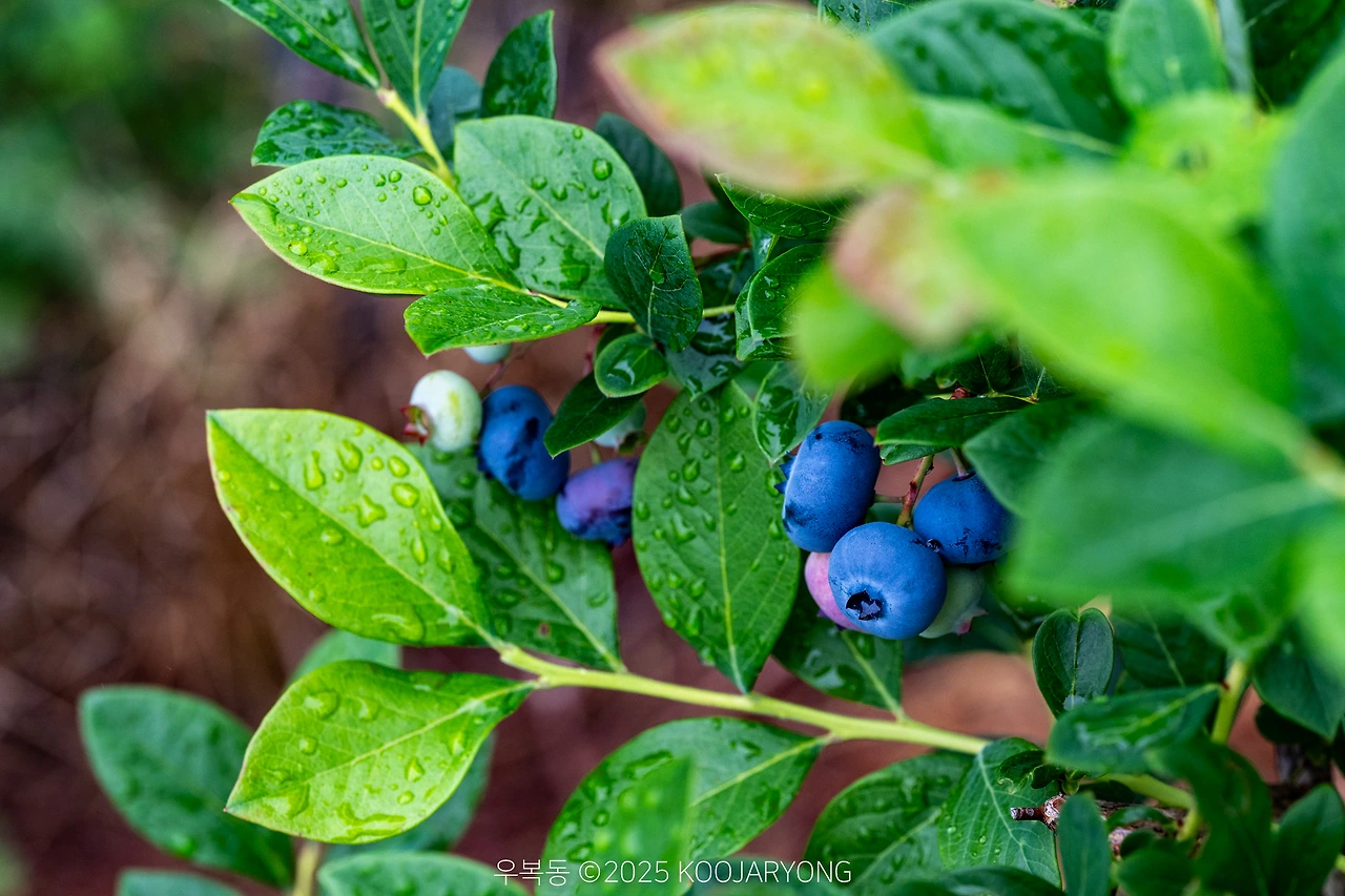 img.jpg?credential=yqXZFxpELC7KVnFOS48ylbz2pIh7yKj8&expires=1751295599&allow_ip=&allow_referer=&signature=2JVL%2BFq9Z4TEgMhGCyxBHSRO4PE%3D