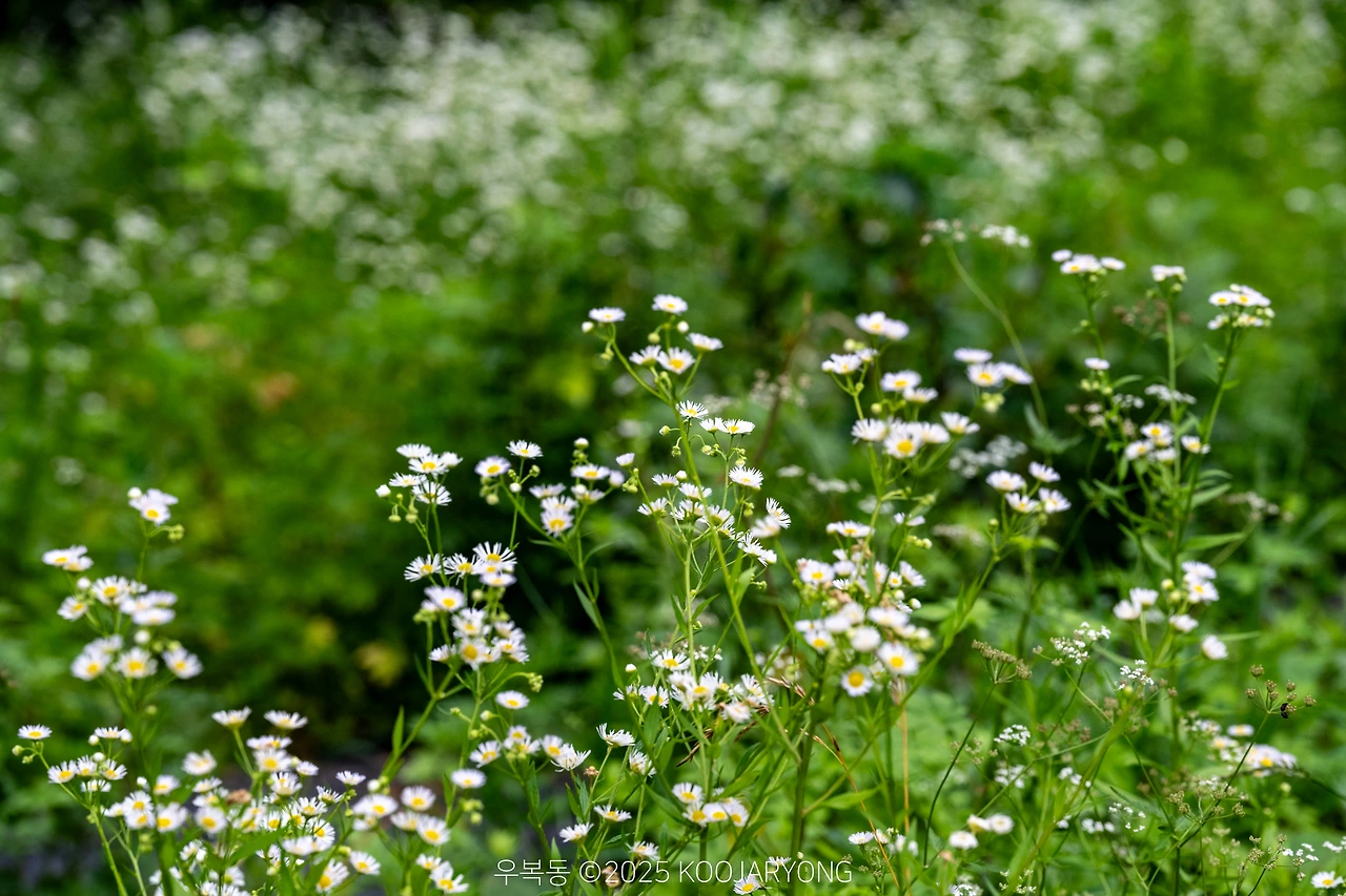 img.jpg?credential=yqXZFxpELC7KVnFOS48ylbz2pIh7yKj8&expires=1751295599&allow_ip=&allow_referer=&signature=fvmZzY9MBdC1esCx8OKiA9OjZ14%3D