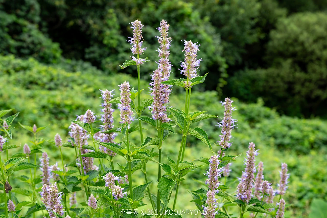 img.jpg?credential=yqXZFxpELC7KVnFOS48ylbz2pIh7yKj8&expires=1759244399&allow_ip=&allow_referer=&signature=iPxlS2sUTSkh4xK0AgZ8ayPOGas%3D