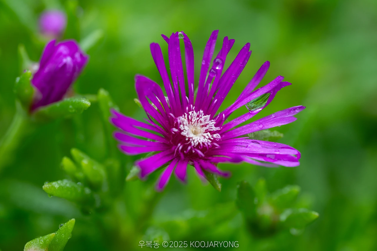 img.jpg?credential=yqXZFxpELC7KVnFOS48ylbz2pIh7yKj8&expires=1751295599&allow_ip=&allow_referer=&signature=DfV1jubMGIg0jhUjXebS6Ne78DU%3D