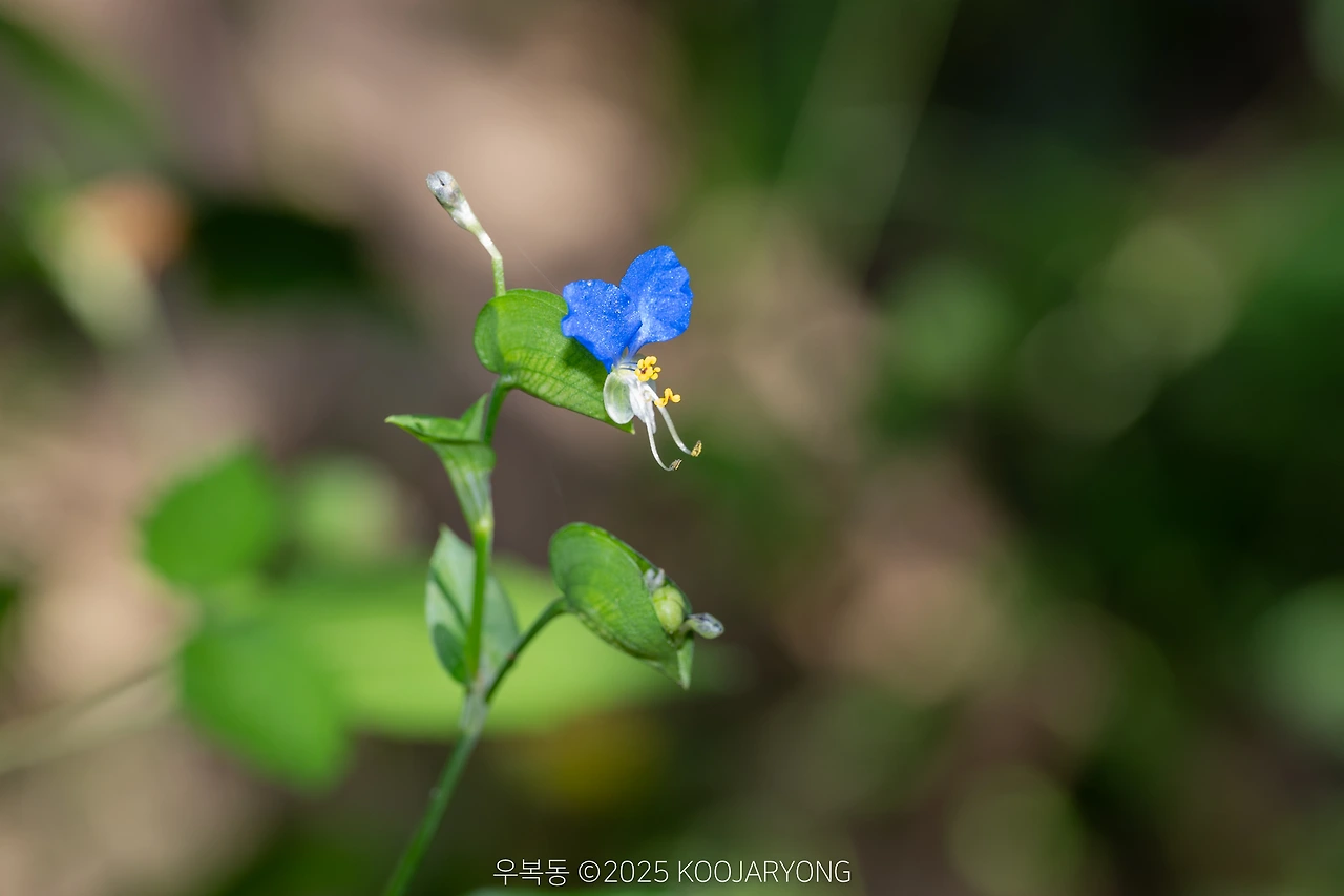 img.jpg?credential=yqXZFxpELC7KVnFOS48ylbz2pIh7yKj8&expires=1759244399&allow_ip=&allow_referer=&signature=JTAqKReOQaIV1nrx4l17sM%2BRovs%3D