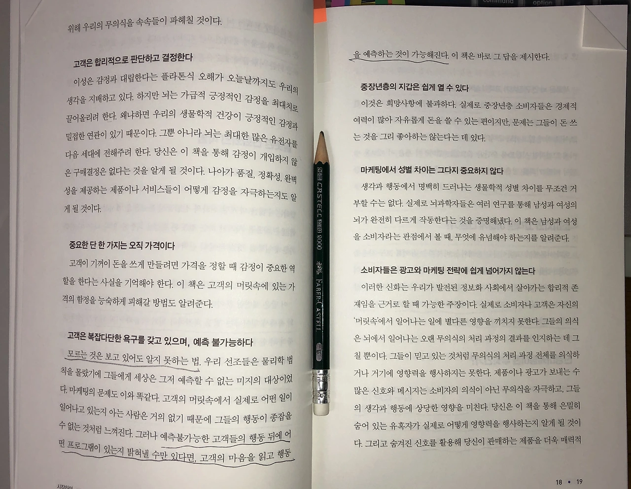 bookreview_Brain View2-IMG_8556.JPG