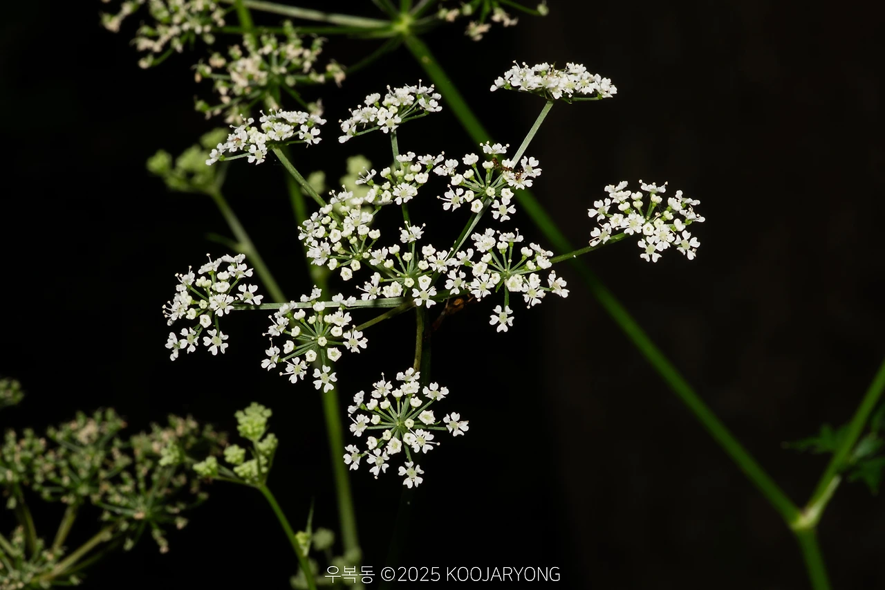 img.jpg?credential=yqXZFxpELC7KVnFOS48ylbz2pIh7yKj8&expires=1759244399&allow_ip=&allow_referer=&signature=A%2Bw6ltdX4o8d16tr%2FtF7e3iy134%3D