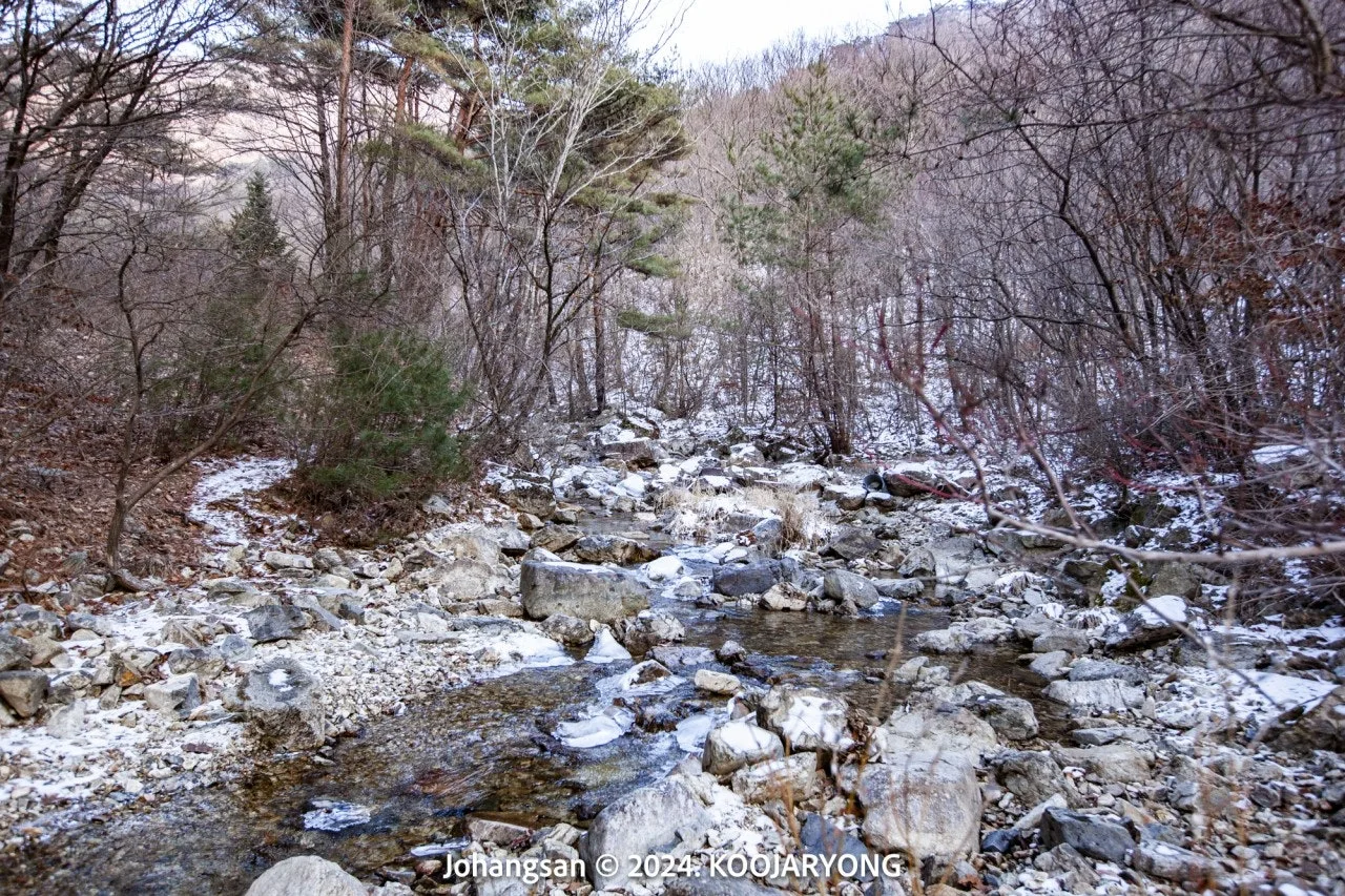 5_1g1Ud018svce7520hs9l4og_ws4d8r.jpg?type=e1920_std