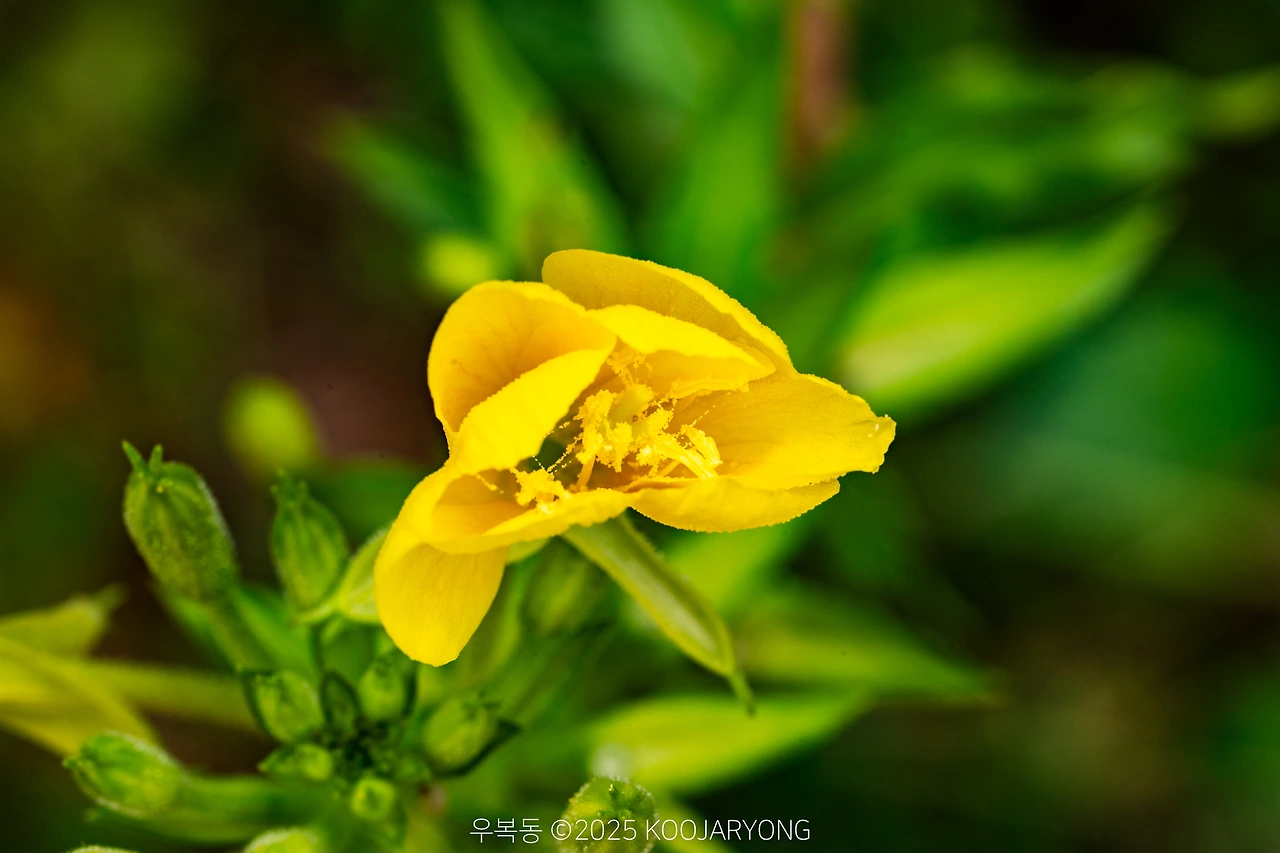 img.jpg?credential=yqXZFxpELC7KVnFOS48ylbz2pIh7yKj8&expires=1759244399&allow_ip=&allow_referer=&signature=SYCOkMXJXH75Ntv2zrBpeNMtIHE%3D