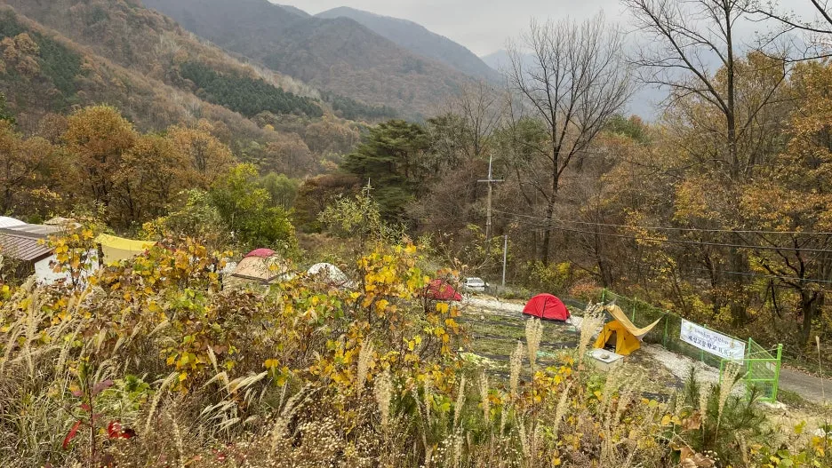 %EA%B7%80%EC%B4%8C%EC%98%88%EC%A0%95%EC%9D%B8_%EB%86%8D%EB%A7%89%EC%97%90_%EA%B3%A0%EA%B5%90%EC%84%9C%ED%81%B4_%EC%84%A0%ED%9B%84%EB%B0%B0_%EC%B4%88%EC%B2%AD_%EC%BA%A0%ED%95%91_%EC%82%AC%EC%9D%B4%ED%8A%B8.jpg?type=w1