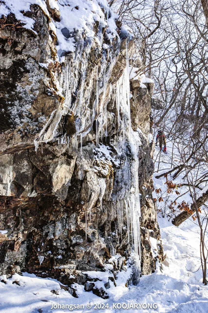 1_8fjUd018svc1b2kfqzqst4kt_ws4d8r.jpg?type=e1920_std