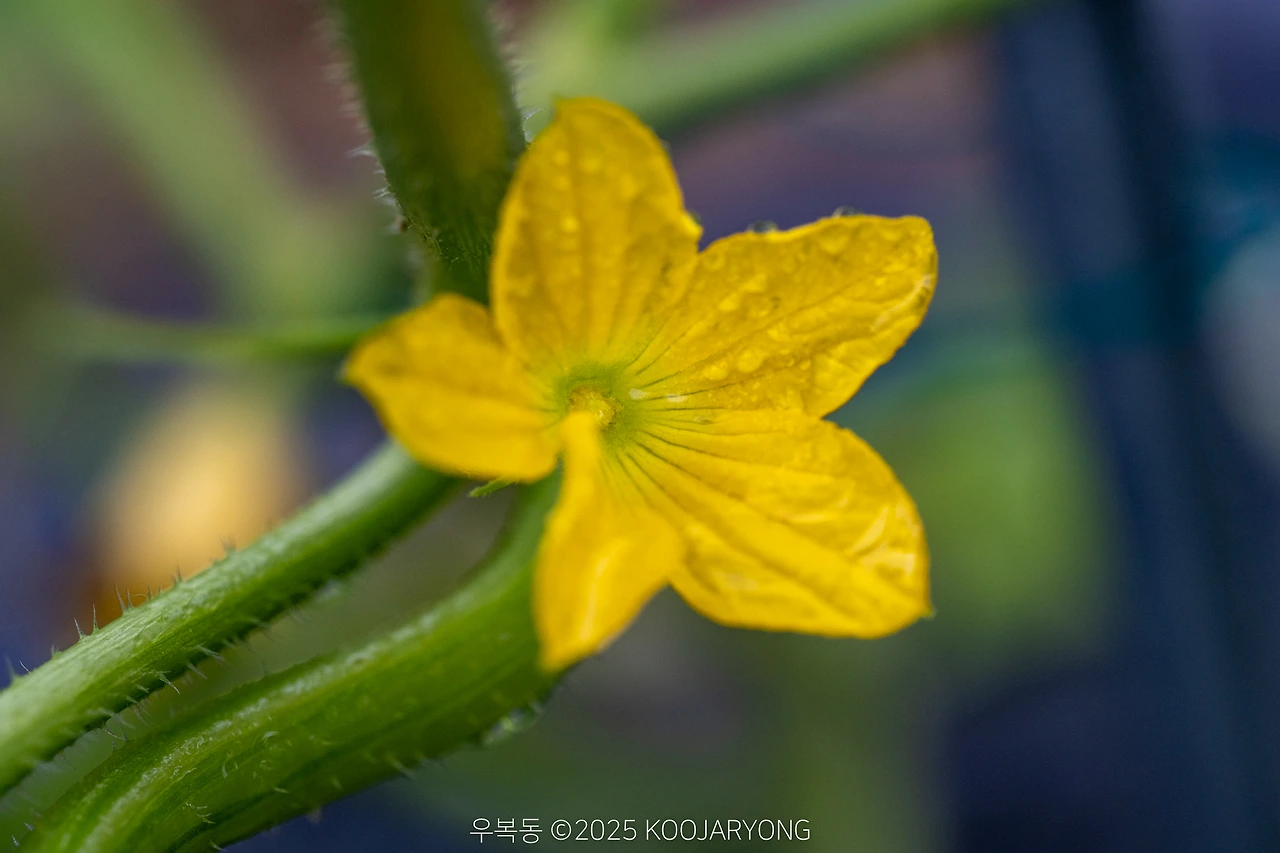 img.jpg?credential=yqXZFxpELC7KVnFOS48ylbz2pIh7yKj8&expires=1751295599&allow_ip=&allow_referer=&signature=StzKbWYiPz4KUmjqOQNL4aV8IwI%3D