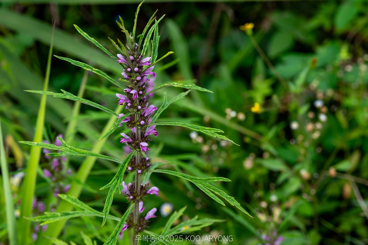 img.jpg?credential=yqXZFxpELC7KVnFOS48ylbz2pIh7yKj8&expires=1759244399&allow_ip=&allow_referer=&signature=5JIPJl8vEUAB1Y8KBbkNw%2B2gjxI%3D