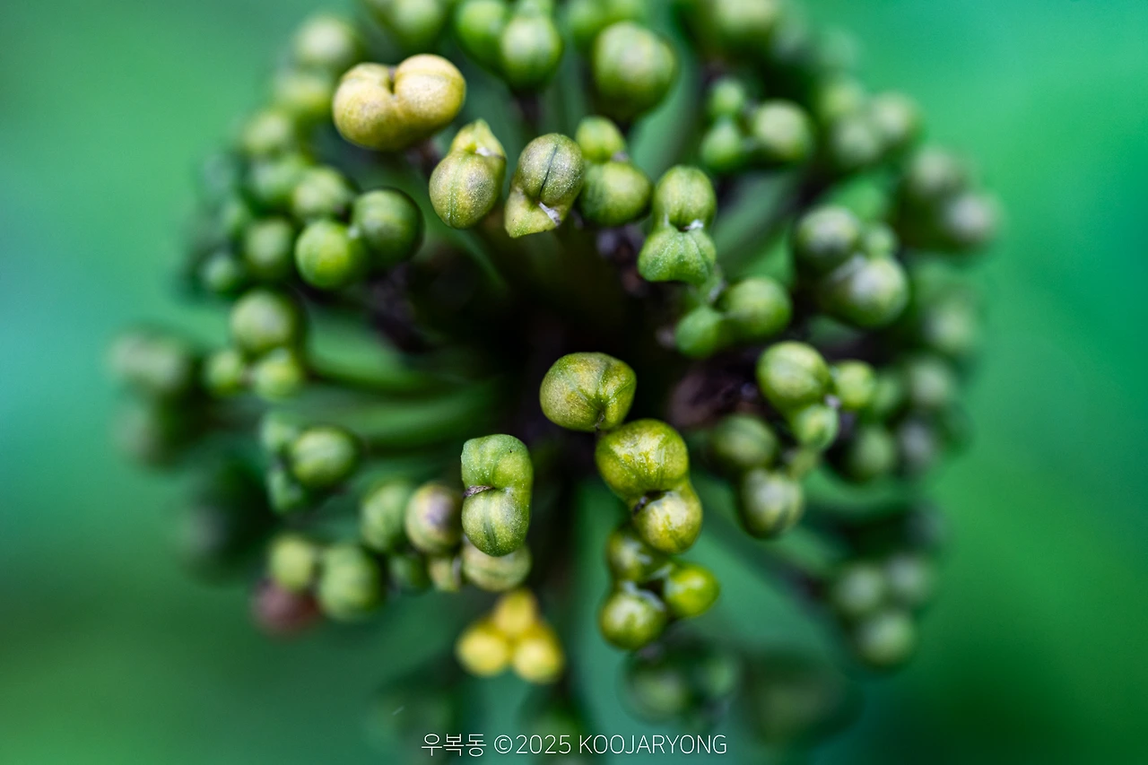 img.jpg?credential=yqXZFxpELC7KVnFOS48ylbz2pIh7yKj8&expires=1751295599&allow_ip=&allow_referer=&signature=RwLE8JEjUK6YkWfsTGtaGoBFmkk%3D