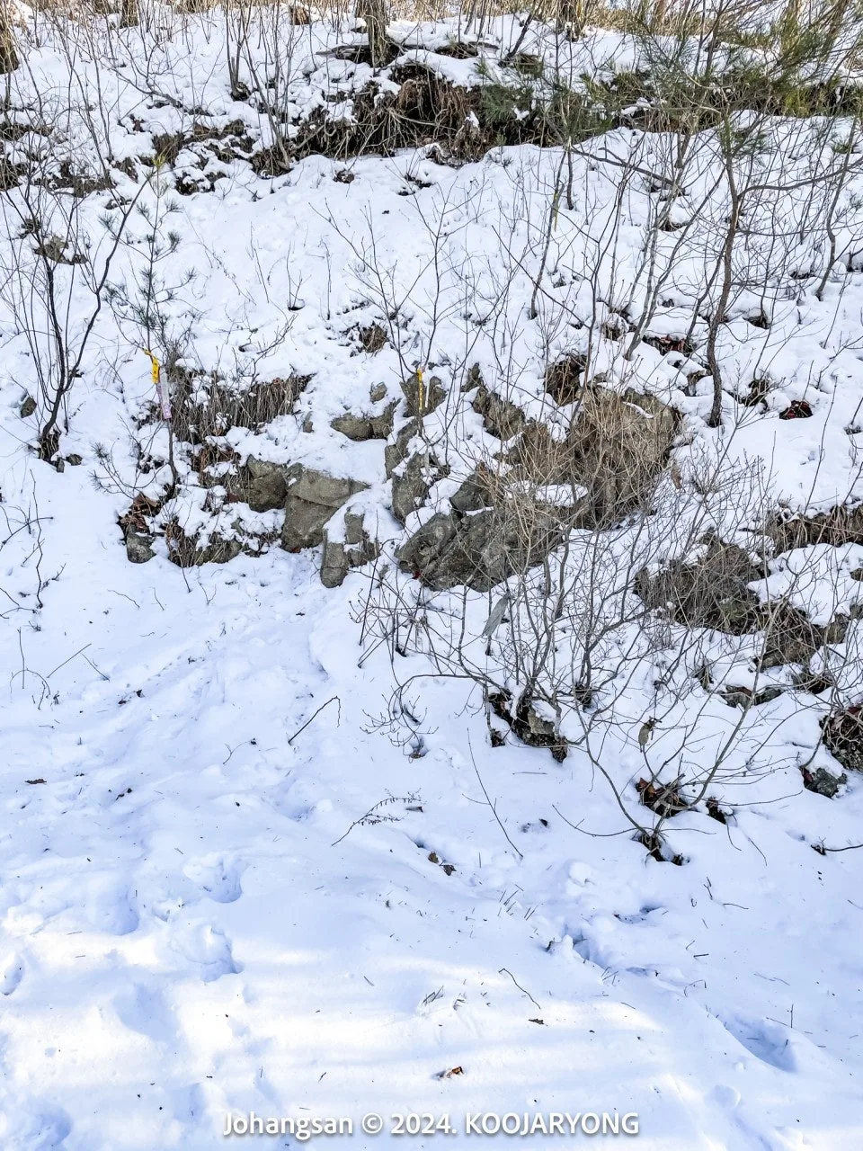 7_9g0Ud018svcqo02zz9crchj_ws4d8r.jpg?type=e1920_std